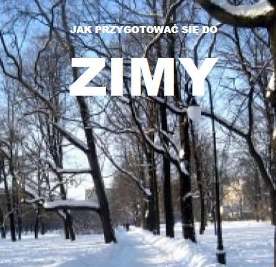 zima1