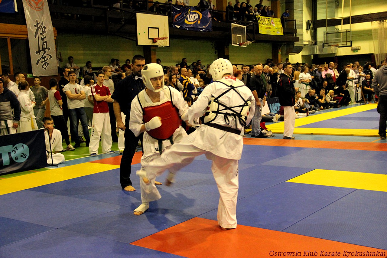 karate pucharpolski