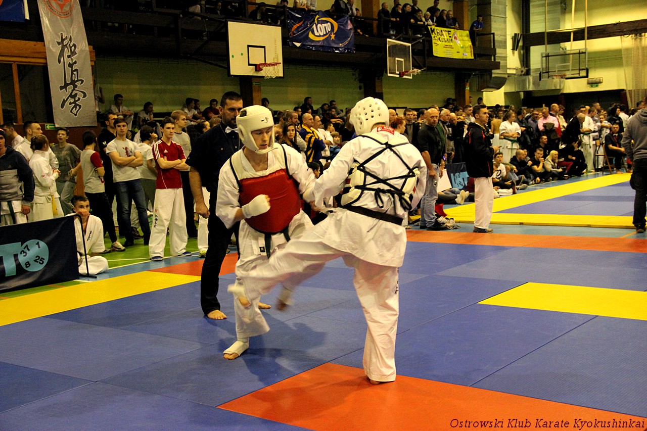 karate pucharpolski