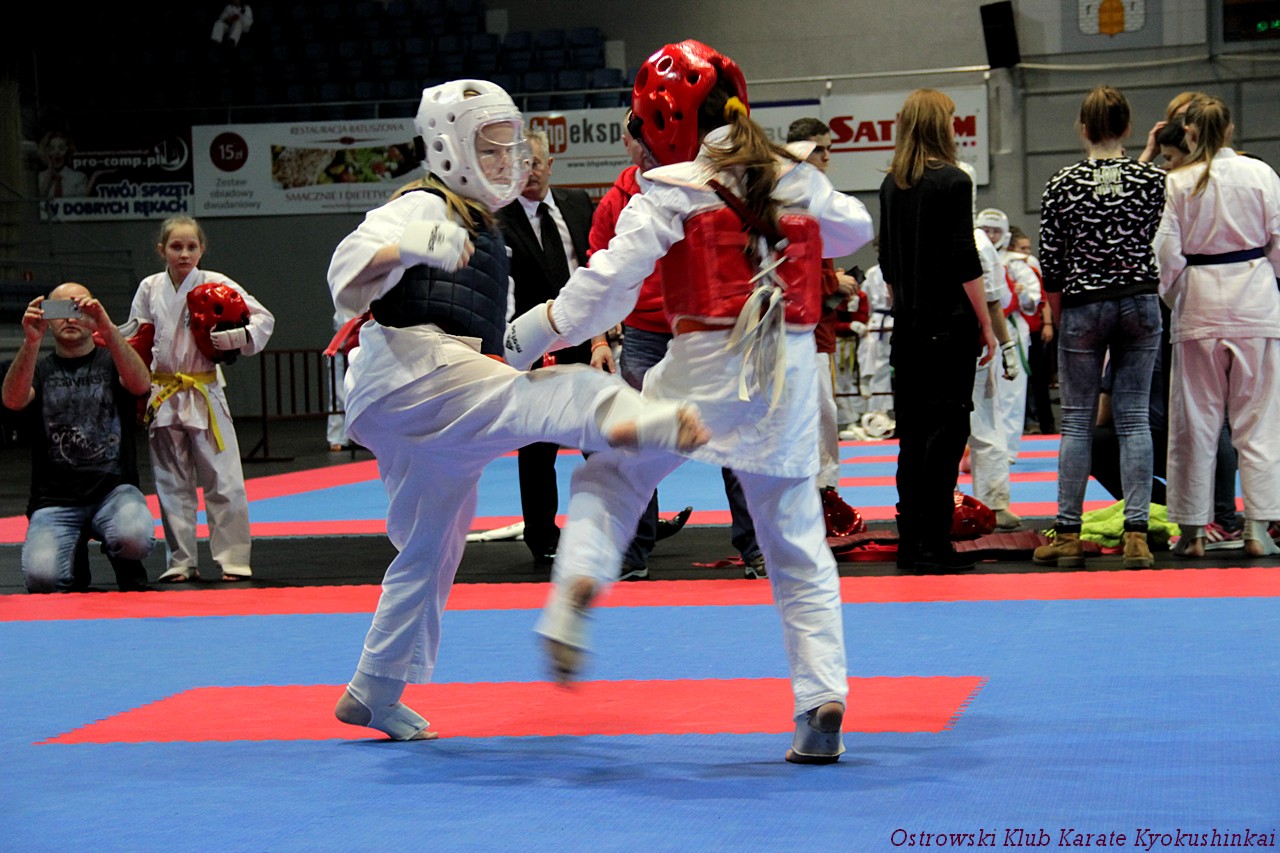 karate wloclawek